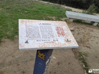 Puente de la Marmota - Parque Regional de la Cuenca Alta del Manzanares tejo árbol tipos de mochilas